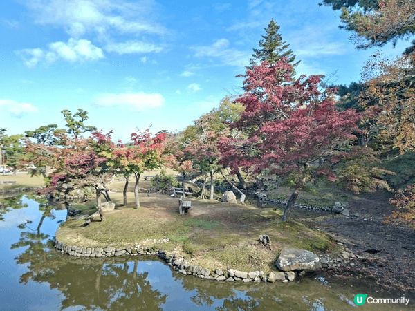 ✨今次介紹和推薦一個遊日本奈良的一個旅遊景點就是「奈良公園」...