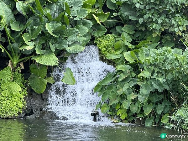 蓮塘口岸地鐵C出口直達東湖公園