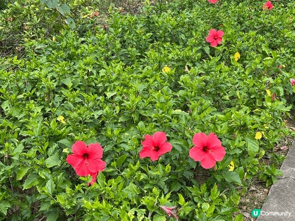 蓮塘口岸地鐵C出口直達東湖公園