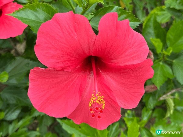 蓮塘口岸地鐵C出口直達東湖公園