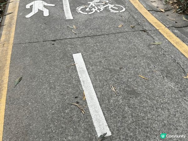 蓮塘口岸地鐵C出口直達東湖公園