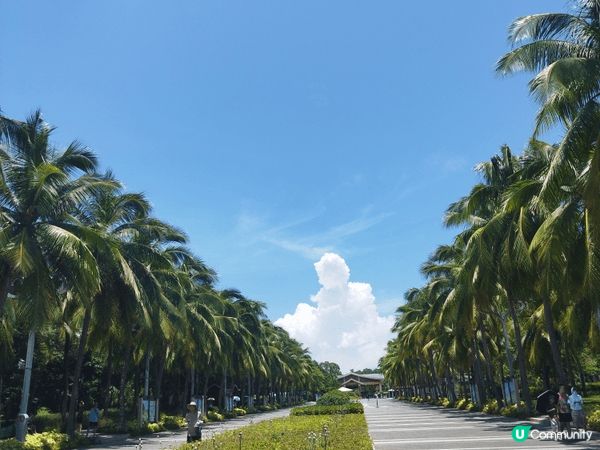 圖片分別是在湖南,新加坡以及海南三亞旅行時所攝的。