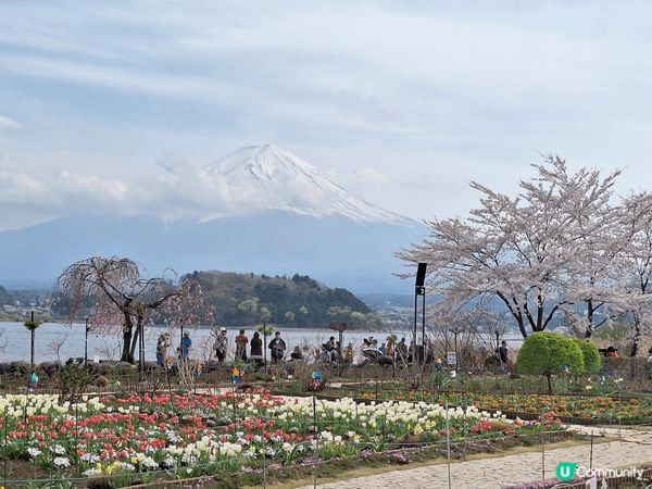 東京郊外遊，美麗的輕井澤和富士山，喜歡大自然景色的美！享受心...