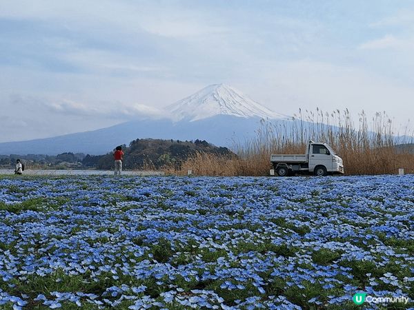 東京郊外遊，美麗的輕井澤和富士山，喜歡大自然景色的美！享受心...