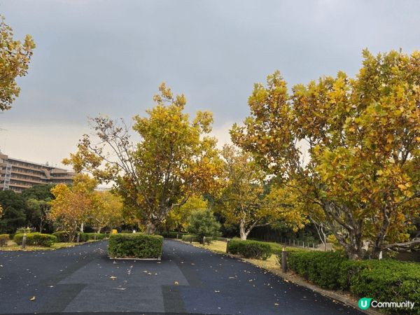福岡海之中道，風光明媚，又可騎單車坐大船，是一個不錯嘅景點。...