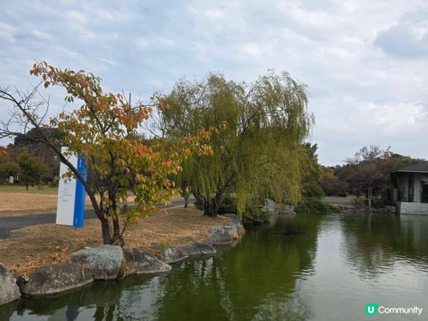 福岡海之中道，風光明媚，又可騎單車坐大船，是一個不錯嘅景點。...
