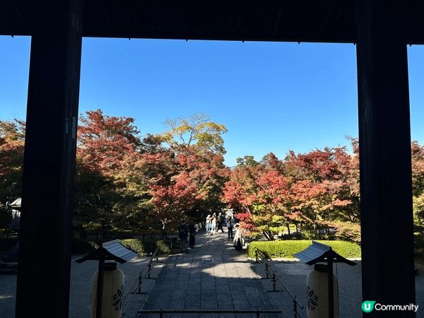 11月中，京都紅葉悄悄出來，一幅幅精美嘅圖畫，令人心曠神怡！...