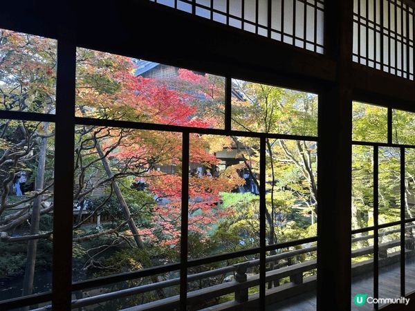 11月中，京都紅葉悄悄出來，一幅幅精美嘅圖畫，令人心曠神怡！...