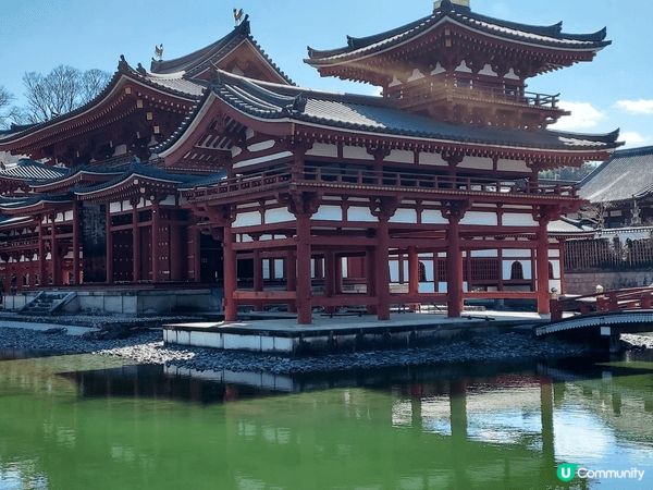 日本平等院 風景優美。每次去到都見到。不少遊人在拍照。