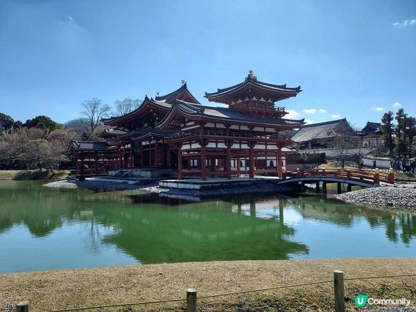 日本平等院 風景優美。每次去到都見到。不少遊人在拍照。