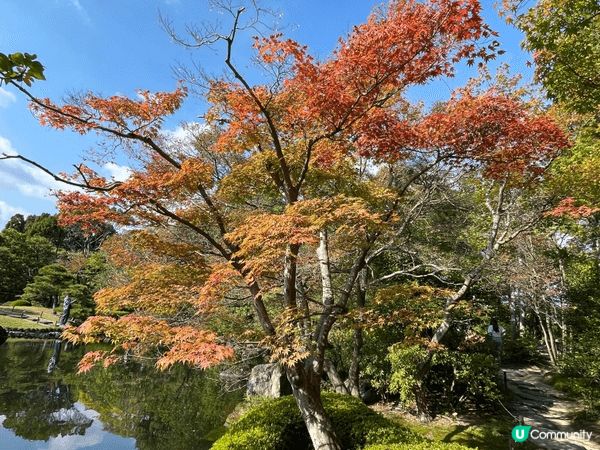 日本關西近郊，神戶香草園，可以觀賞部分紅菜靚景，環境清幽雅致...