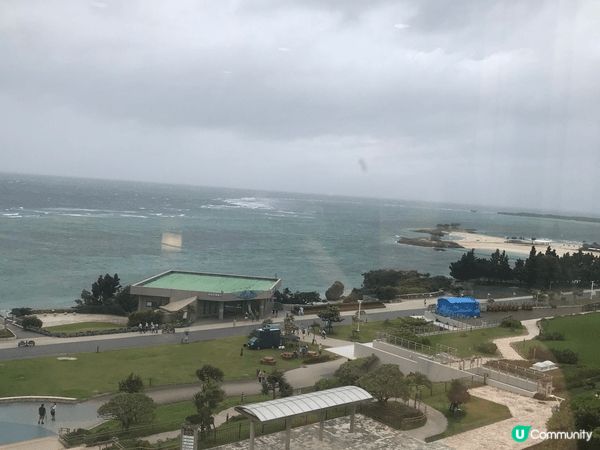 沖繩必去景點，最受歡迎的美麗海水族館、古宇利島和萬座毛