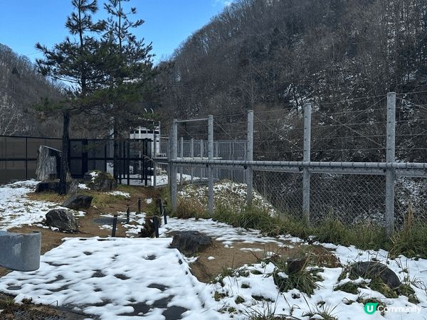 以上圖片是疫情後首次通關的名古屋之旅，下呂溫泉是日本三大名泉...