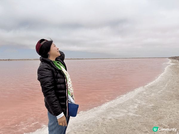 中非友好，自由自在的旅行，如天上飛鳥，一隻海鷗，人生難來的境...