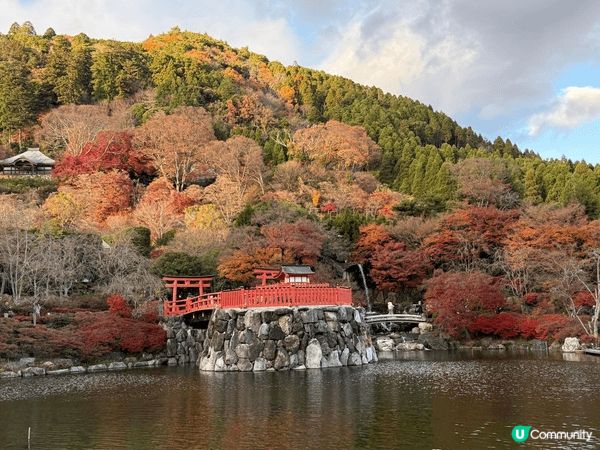 日本紅葉之旅，睇到幾種唔同嘅紅葉，享受置身其中嘅日本另一風情...