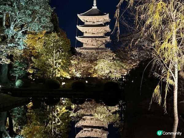日本紅葉之旅，睇到幾種唔同嘅紅葉，享受置身其中嘅日本另一風情...