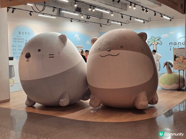 今個聖誕假會同小朋友一齊去Namco夾公仔，勁開心