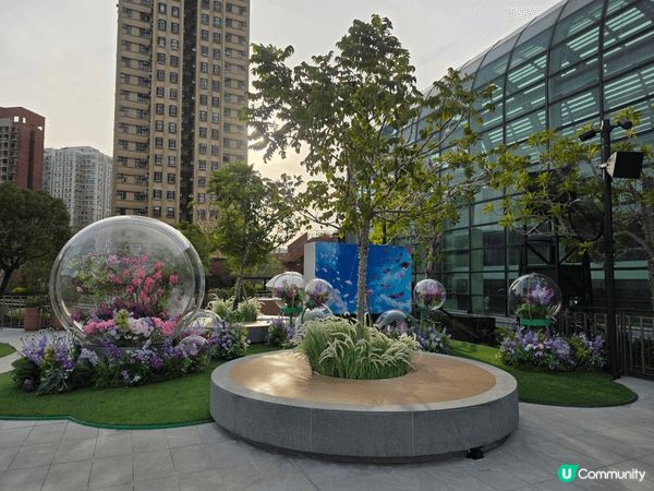 沙田新城市廣場7樓充滿花花世界既打卡位，高高在上風景優美，裝...