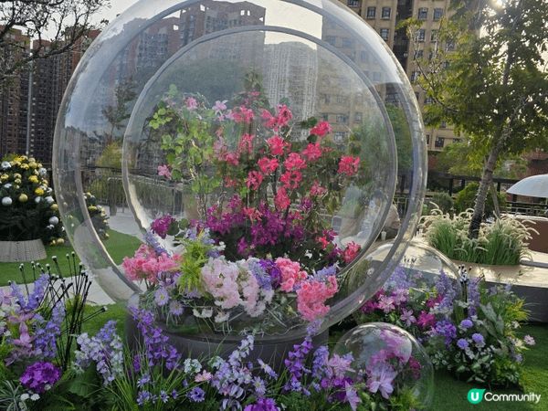 沙田新城市廣場7樓充滿花花世界既打卡位，高高在上風景優美，裝...