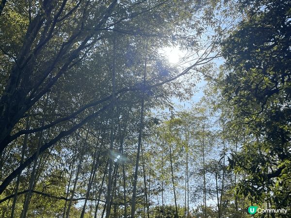 我會推介大阪近郊的旅遊景點，包括姬路中央公園、神戶布引香草樂...