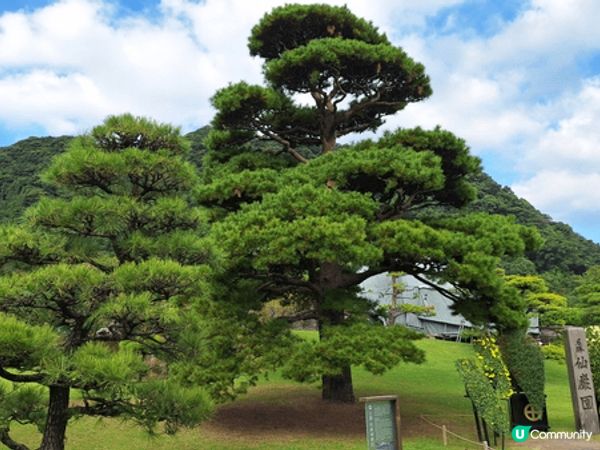 最近我去咗鹿兒島，真係被櫻島火山勁吸引！近距離望住火山，感受...