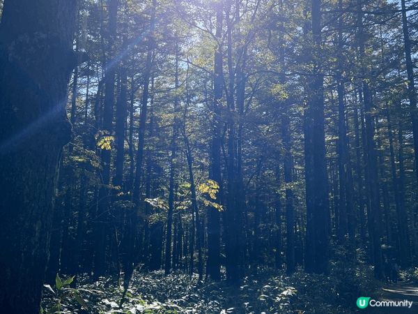 由名古屋出發搭左3個幾鐘車黎到上高地真係好值得，風景好靚，如...
