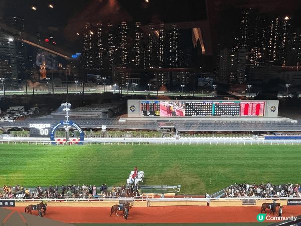 Very nice horse racing experie...
