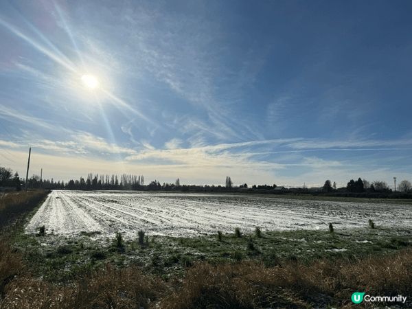 加拿大有比香港嘅好處就係冬天有雪景同埋比香港矮嘅屋，影風景唔...