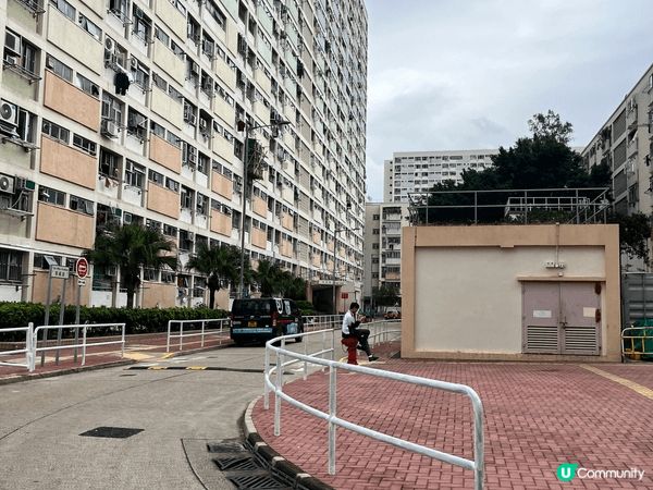 圖片一就去咗奧運海旁觀賞日落美景，圖片二就是去了中環碼頭觀賞...