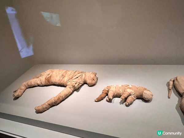 去西九感受冬季戶外氣氛之餘，亦可以到香港故宮文化博物館，隨了...