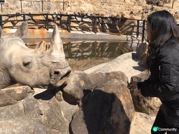 🌿✨ 和歌山冒險大世界超讚！🐼🌊 全日本唯一集動物園、水族館...