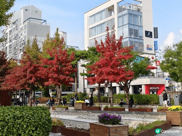 首爾食、買、打卡！