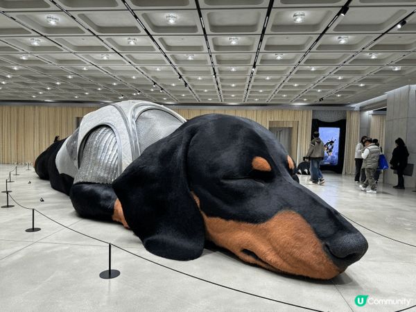 首爾食、買、打卡！