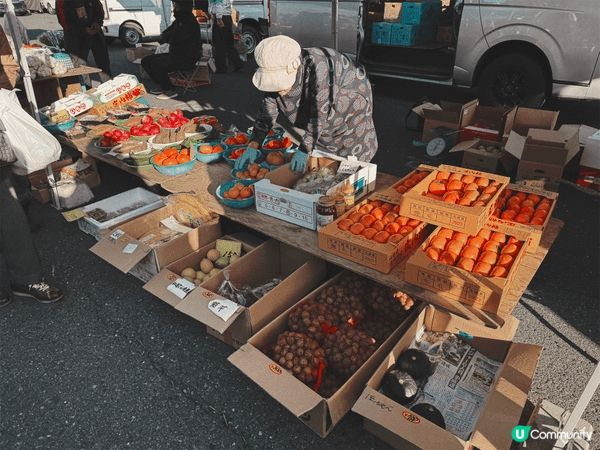 📸青森八戶。館鼻岸壁朝市❤️