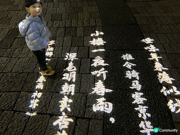 本地玩樂:開篷巴士旅程及海洋公園