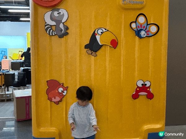 本地玩樂:開篷巴士旅程及海洋公園