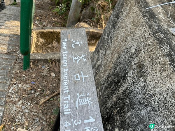 遠眺青馬大橋嘅邊度景點，難道低強度唔高，適合喜歡打卡影相嘅朋...