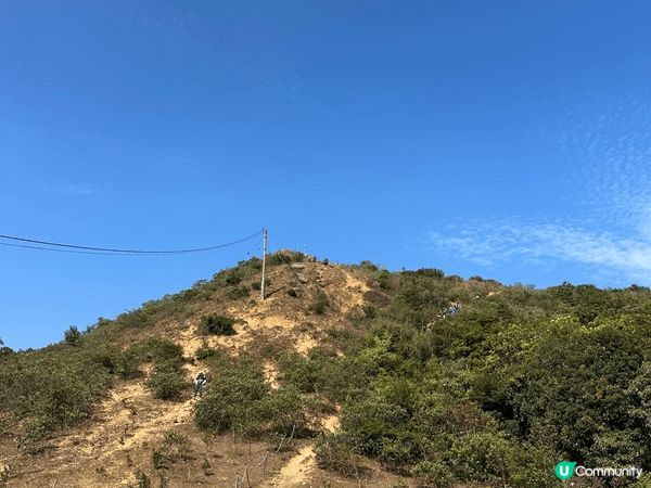 遠眺青馬大橋嘅邊度景點，難道低強度唔高，適合喜歡打卡影相嘅朋...