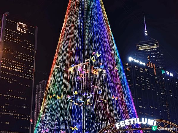 踏入12月、聖誕燈飾已經亮起、香港中環及灣仔已經佈置五光十色...