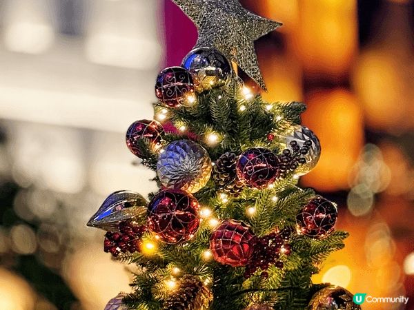 踏入12月、聖誕燈飾已經亮起、香港中環及灣仔已經佈置五光十色...