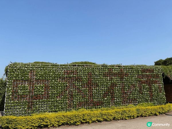 台中好去處-中社花園