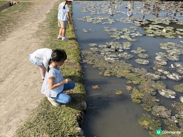 台中好去處-中社花園