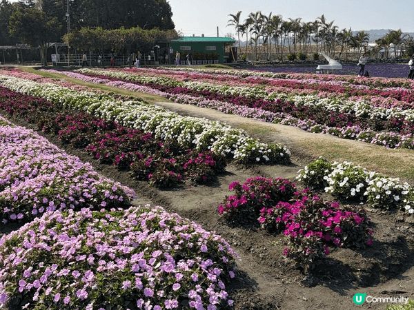 台中好去處-中社花園