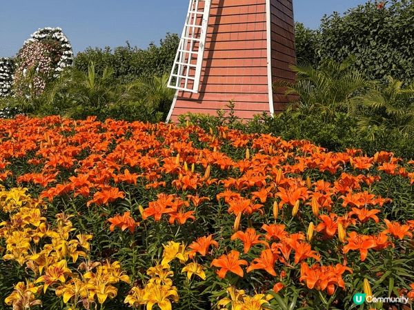 台中好去處-中社花園
