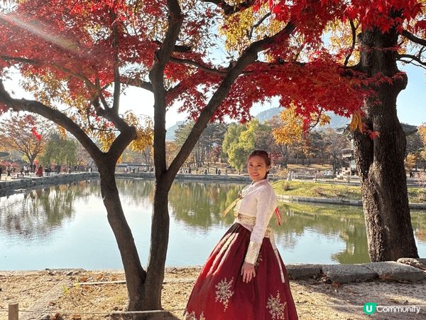韓國銀杏紅葉之旅，去齊景福宮、熱門咖啡店carmel 同 M...