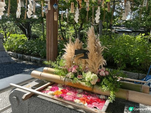 新潟嘅白山神社，好似話孫中山當年同同伴係度討論革命事情，好靚...