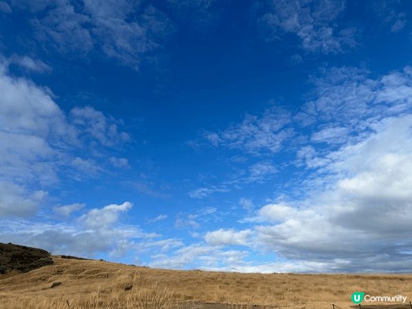 熊本其中一個出名的旅遊地方，就係阿蘇火山！不過並不是每一日都...