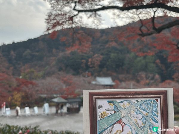 日本大阪勝尾寺，達摩神社，咁啱12月頭去仲有少量紅葉，達摩好...