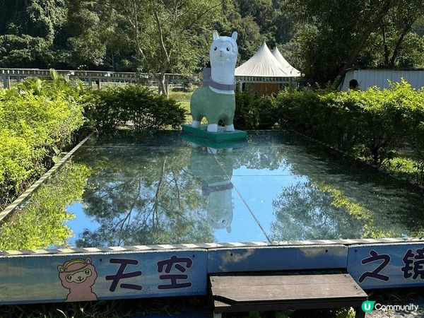 大埔蝶豆花園真係一家大小好嘅去處！入面有靚靚嘅花海，適合拍照...