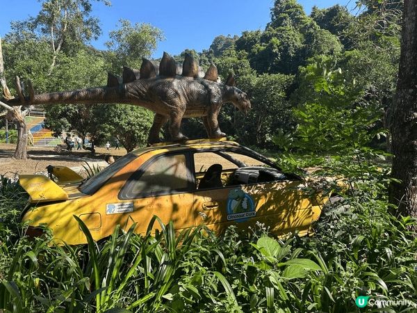 大埔蝶豆花園真係一家大小好嘅去處！入面有靚靚嘅花海，適合拍照...